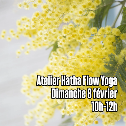 Hatha Flow Yoga