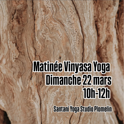 Matinée Vinyasa